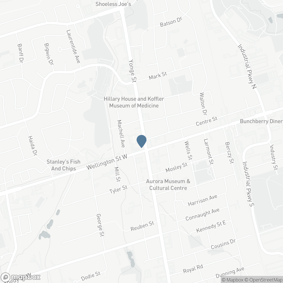 119 - 600 ALEX GARDNER CIRCLE, Aurora, Ontario L4G 3G5